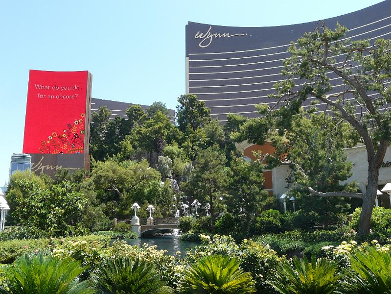 Wynn P1020641.jpg